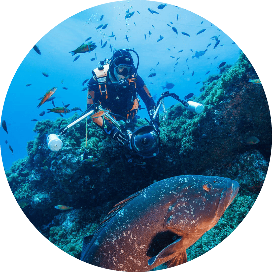 Photos of our activities